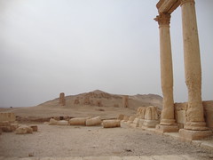 Camp of Diolectian