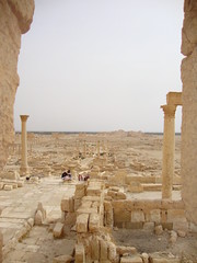 Camp of Diolectian