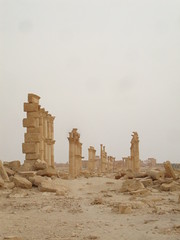 Camp of Diolectian