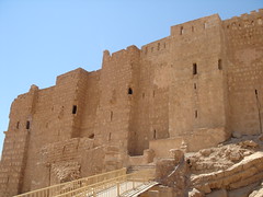 Qalaat Shirkuh