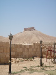Qalaat Shirkuh
