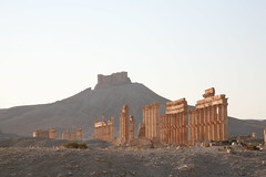 Qalaat Shirkuh