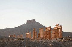 Qalaat Shirkuh