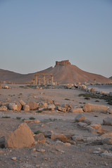 Qalaat Shirkuh