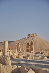 Qalaat Shirkuh