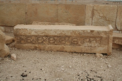 Palmyra - Temple of the Standards scrolling vine rinceau