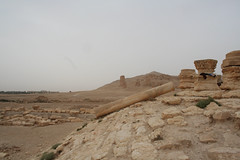 Palmyra - Temple of the Standards