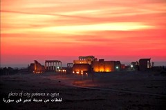 Protocultural-Dubai