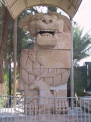 Protocultural-Dubai
