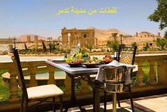 Protocultural-Dubai