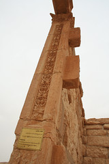Palmyra - funerary temple scrolling vine rinceau in anta